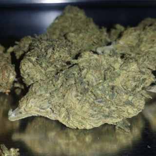 ACDC Weed Strain Online