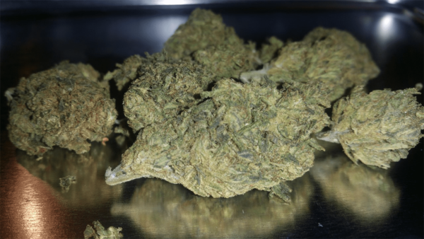 ACDC Weed Strain Online