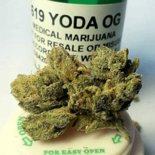Yoda OG Marijuana Strain