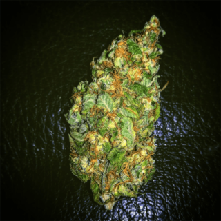 Berry White Weed Strain Online